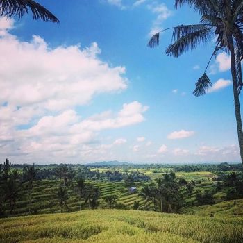 Jatiluwih Rijsterrassen - Bali